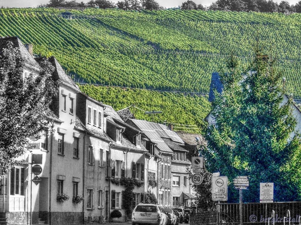 Weinberge über Enkirch by ☼❄ bergkristall ❆ ☼