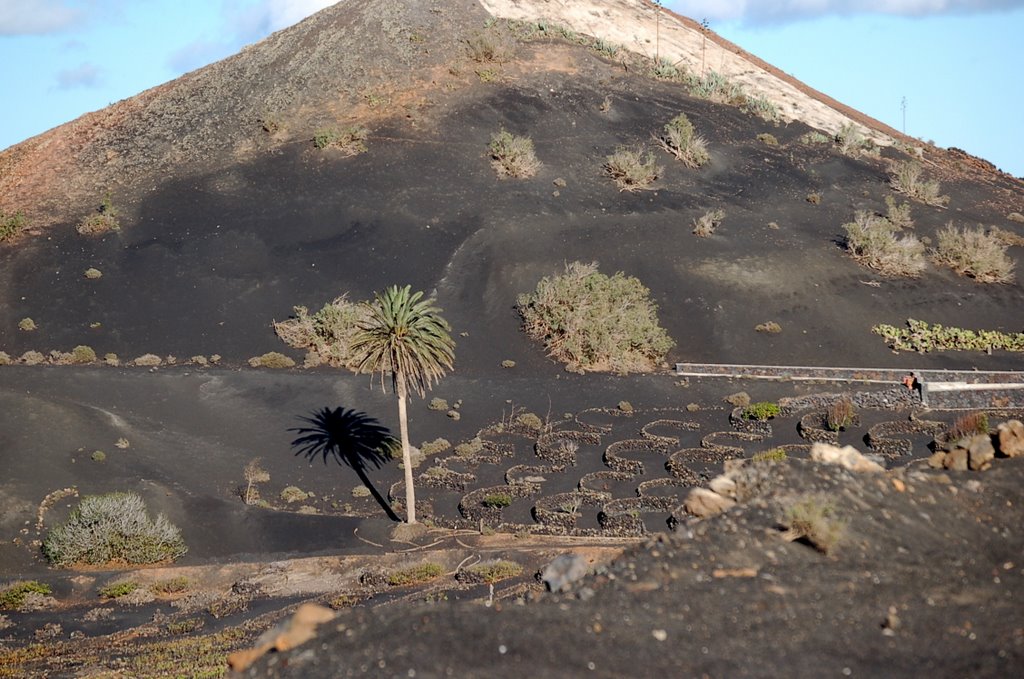 La Geria wijn streek Lanzarote by Rickyb