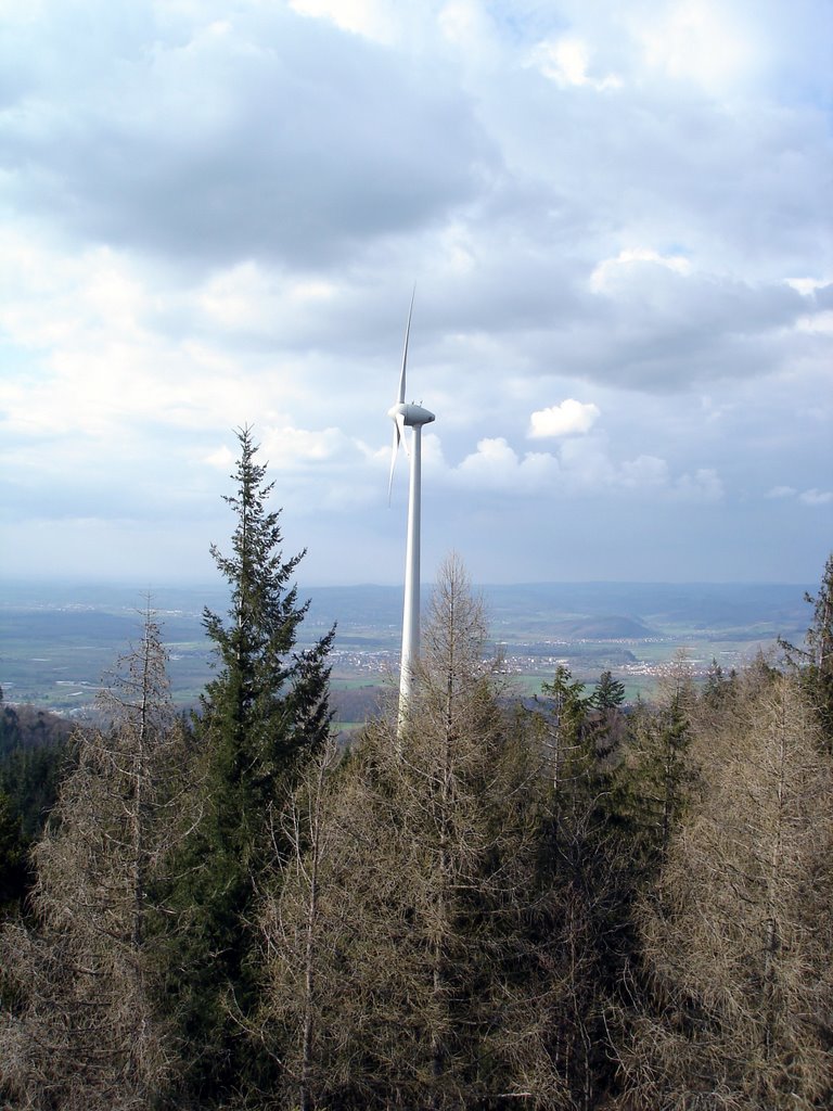 Blick nach Norden, Richtung Denzlingen, Sexau und Emmendingen by Vheissu