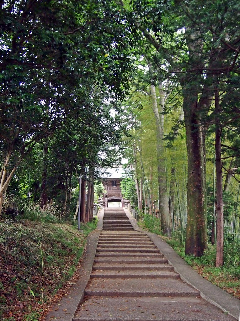 刈田嶺神社参道、Main approach to Kattamine-jinja shrine by Bachstelze