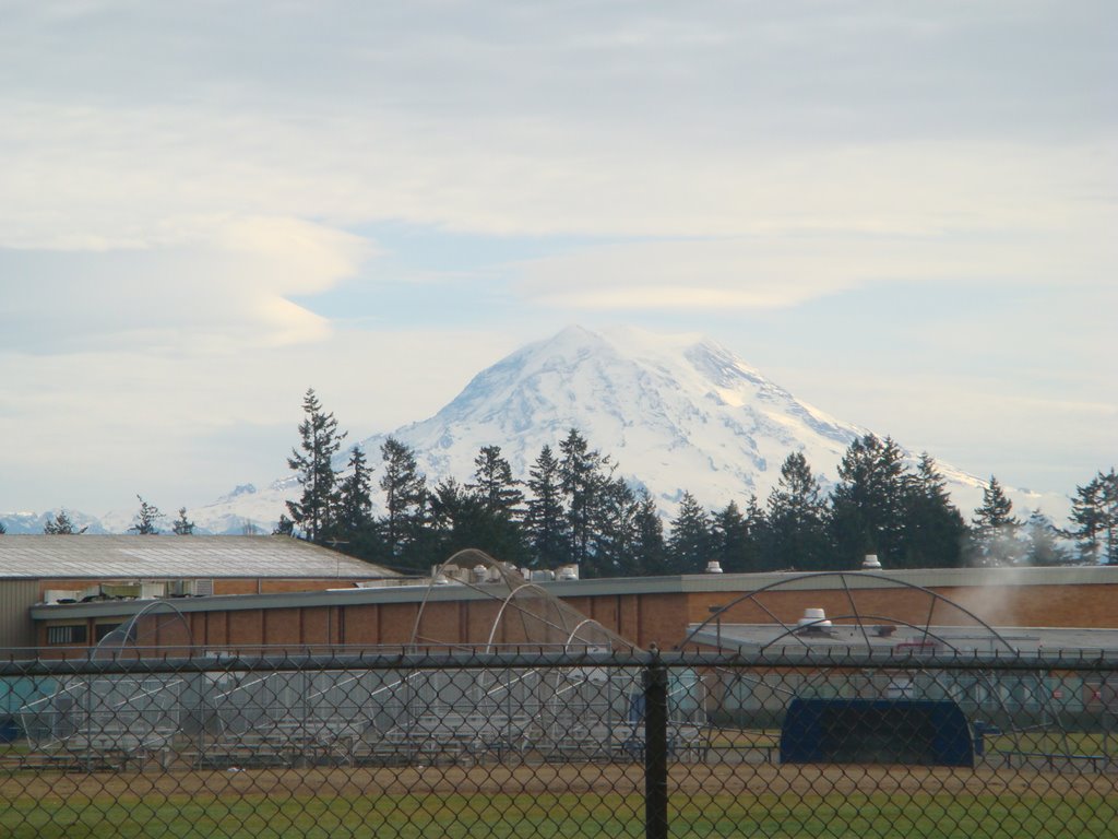 Mt. Rainier from Spanaway park. by scottalter