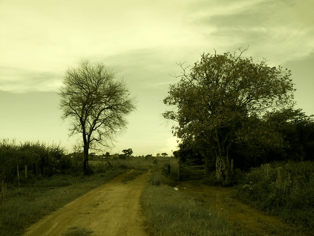 Paisagem na comunidade de "Paus Secos" | Arcos/MG by Aender  M. Ferreira