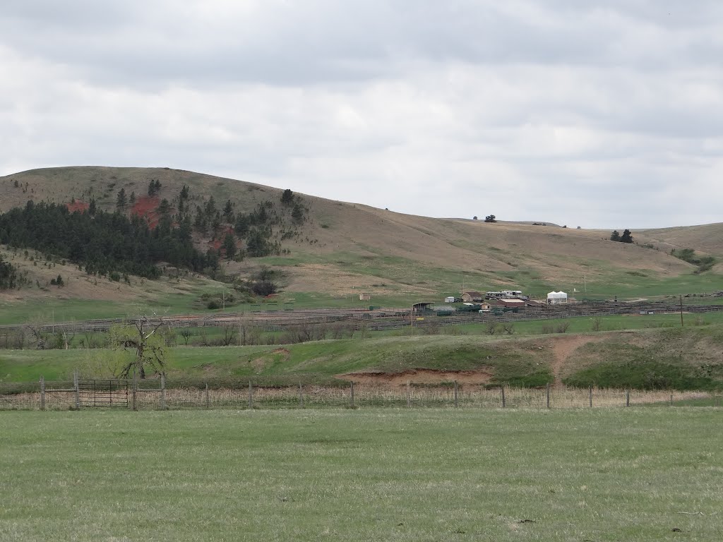 Buffalo Corrals in Custer State Park, Custer, SD by Gino Vivi