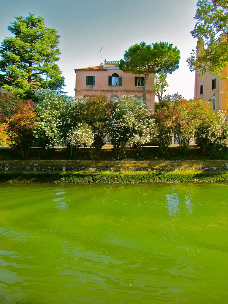 Villa lidense sulla via Candia by daniel wilk