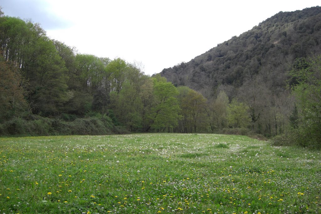 Sant Joan les Fonts - Riera de Bianya [12.04.2008] by Jordi Peralta