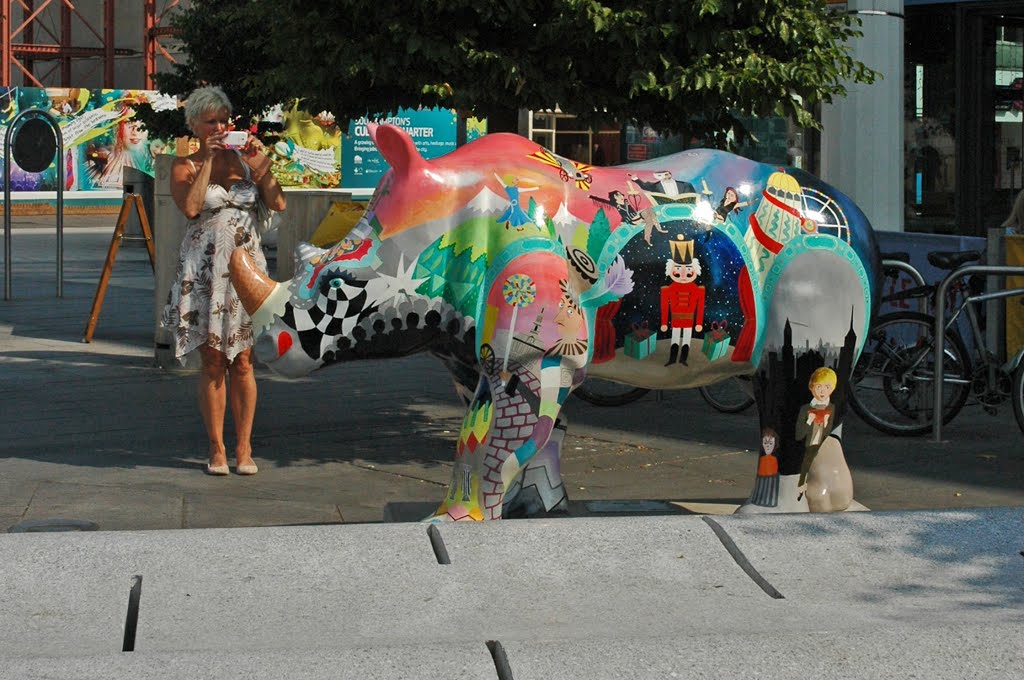 Rhino sculpture by Southampton Civic Centre by Bressons_Puddle