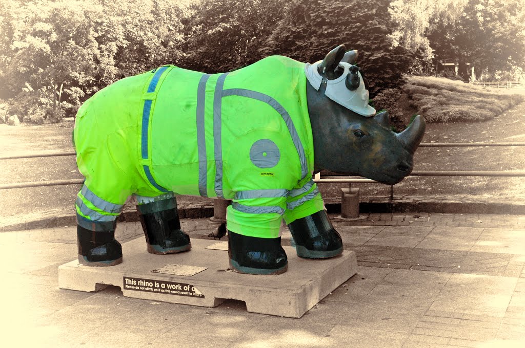 Rhino sculpture in Palmerston Park by Bressons_Puddle