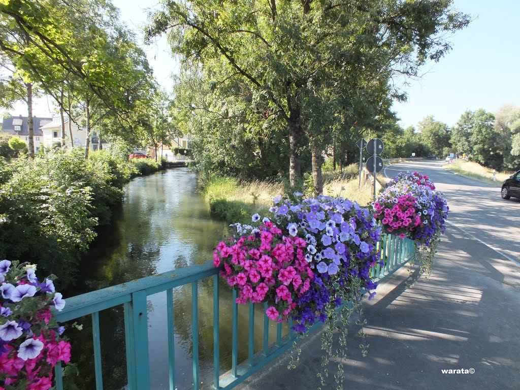 Heimertingen > Brücke und Wehr über/in der Memminger Ach, B 300 (i) by warata