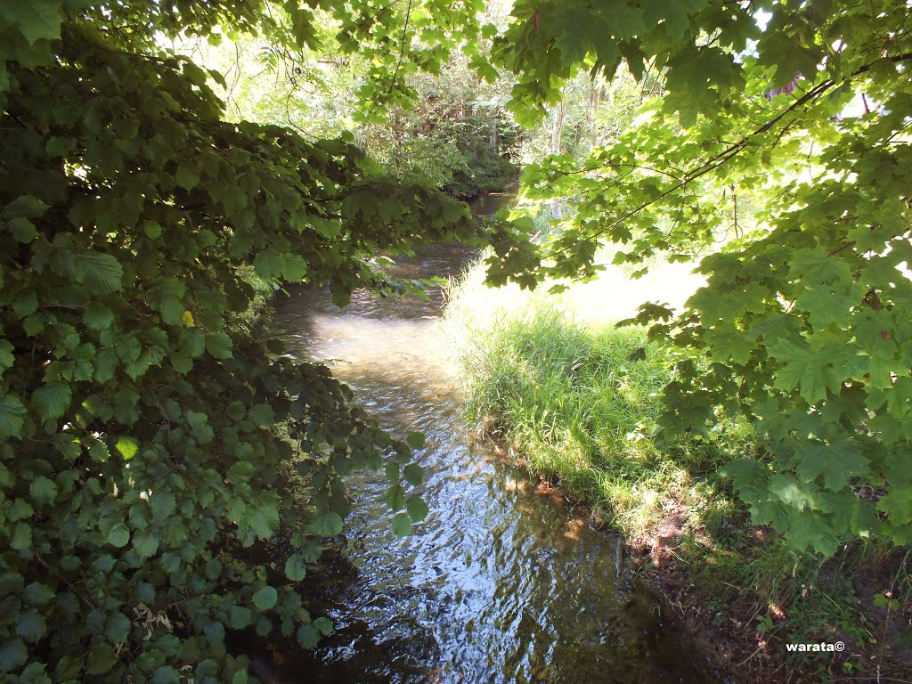 Heimertingen > Idylle an der Memminger Ach nahe der Gartenstraße by warata