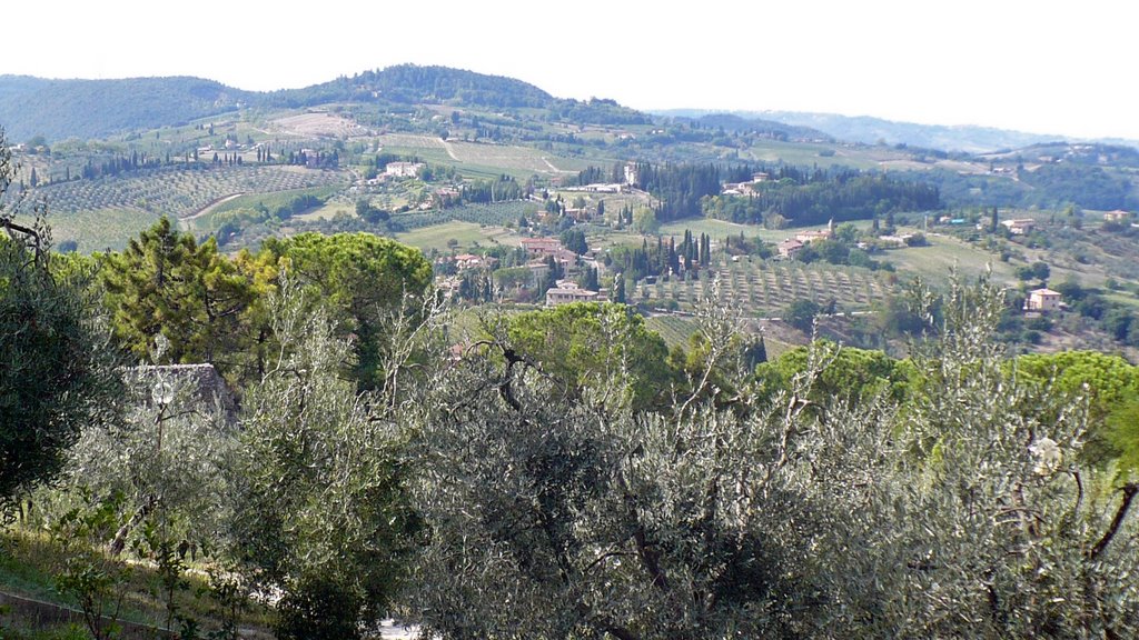 San Gimignano by Colin W