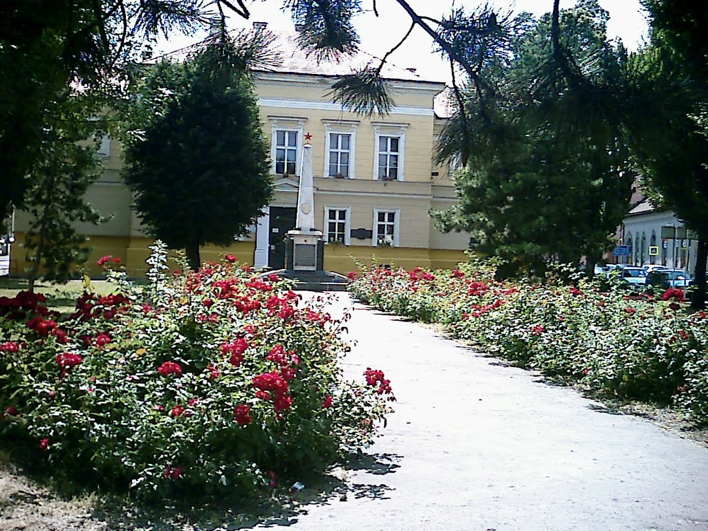 Pamätník v Lučenci / Memorial Lučenci by Denis Ondriškovič