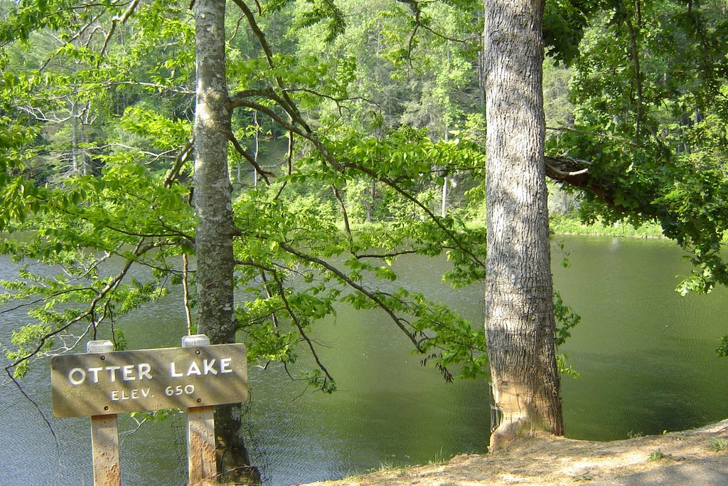 Otter Lake, Blue Ridge Parkway by demanton