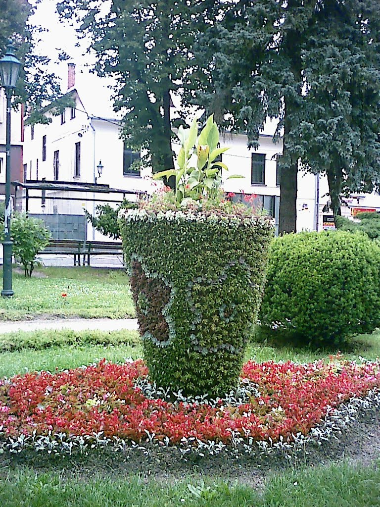 Kvetinky v mestskom parku v Handlovej / Flowers in the city park in Handlovej by Denis Ondriškovič