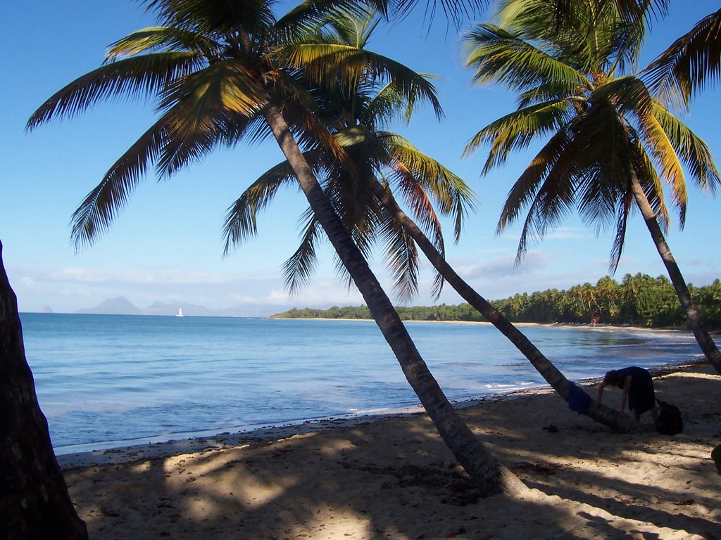 Les Salines by J.L. Loustau