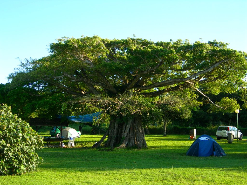 L'ombre du camping by salamafric