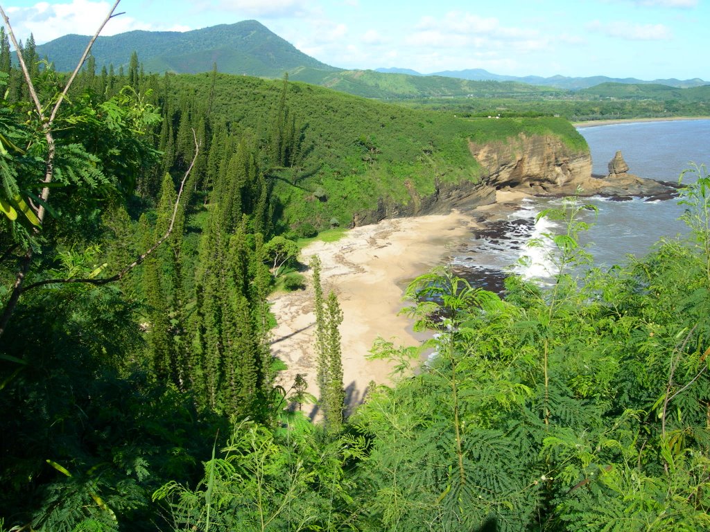 Le bonhome plage aux tortues by salamafric