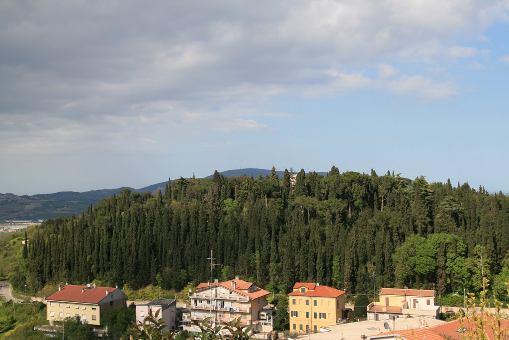 60022 Castelfidardo, Province of Ancona, Italy by © Falappa Giordano