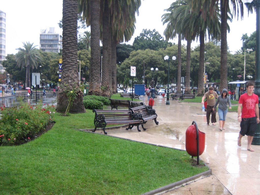 Lluvia inesperada en viña by pedro bernardo sepul…