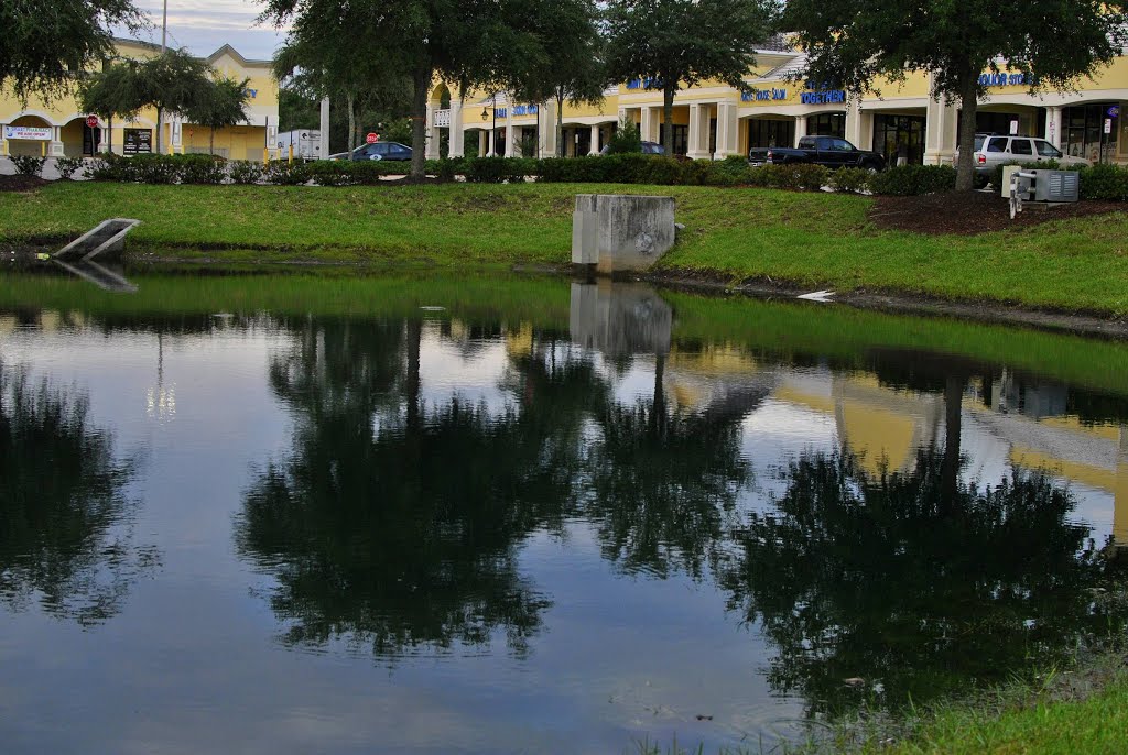 Strip Mall Pond in Early AM by samfeltus