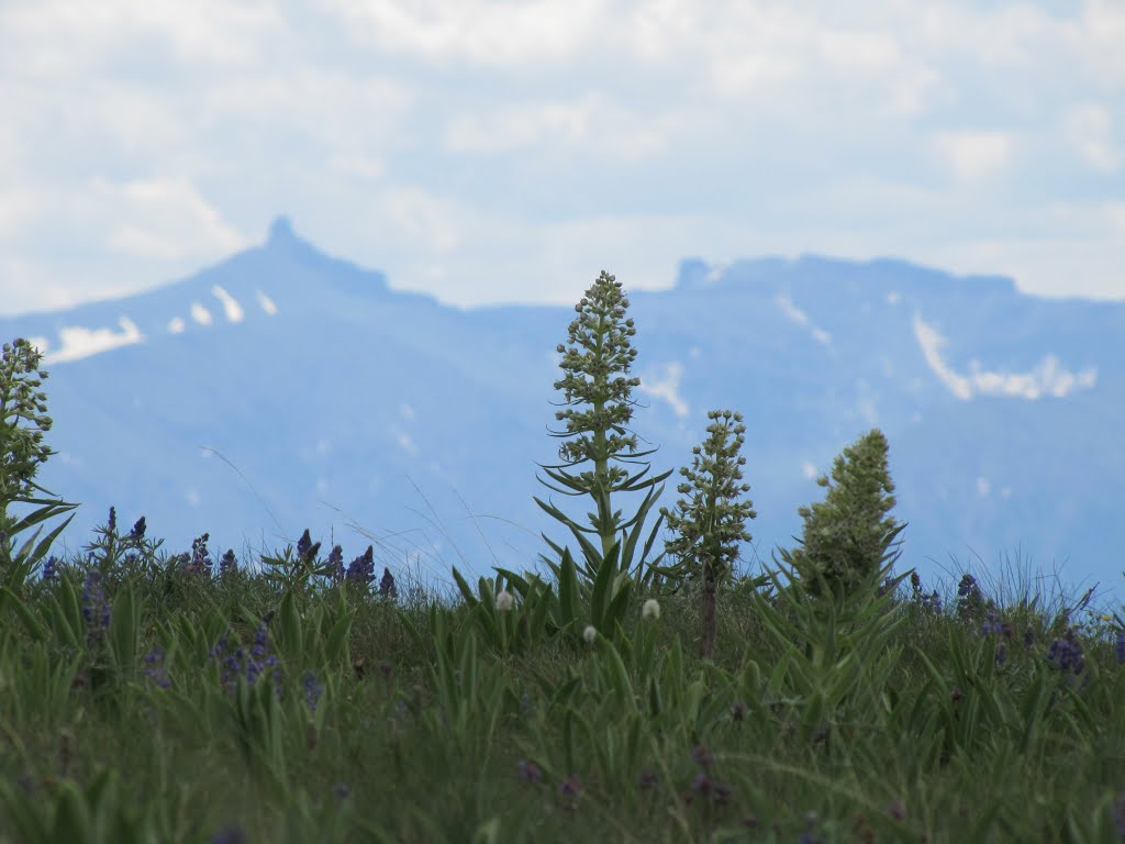 Atop Clay Butte by Chris Sanfino