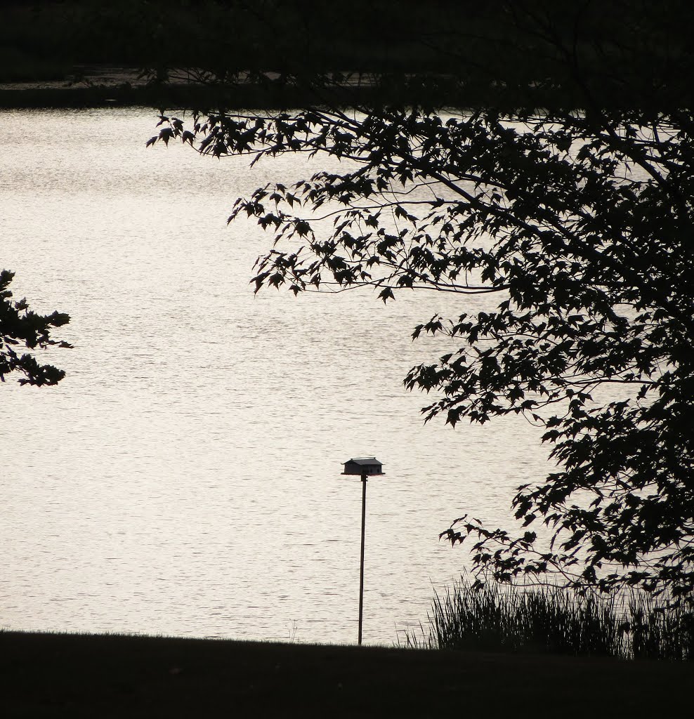 Fourth Lake in backlight by UnagiUnagi