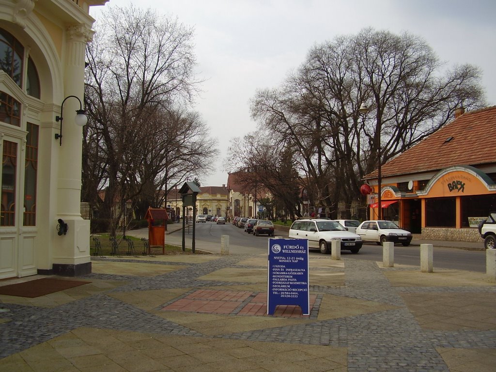 Szerencs belvárosa / Center of Szerencs town by ksabee