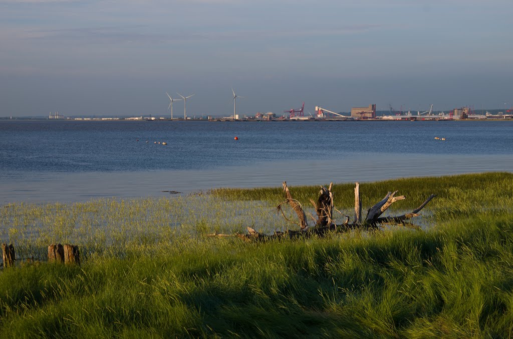 Looking over a very high tide in the direction of Portbury and Avonmouth docks - July 2013 by Mike Stuckey