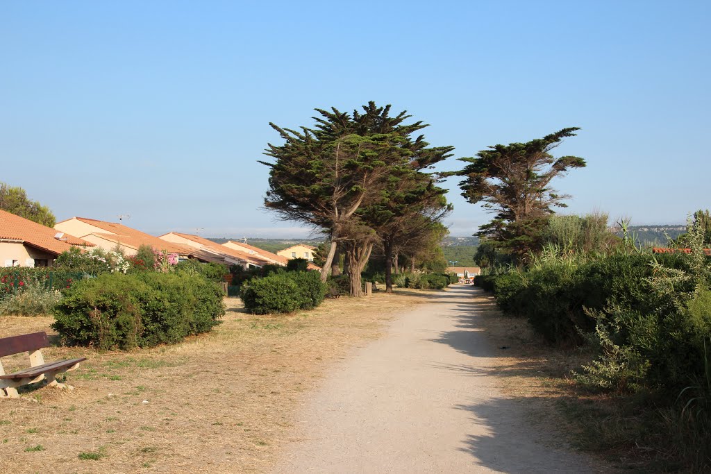 Der Weg zum Strand by Andorado