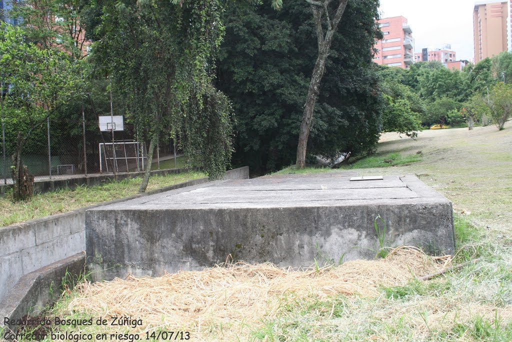 Bosques Zúñiga, corredor biológico Medellín by Edwin Bermúdez Barbarán