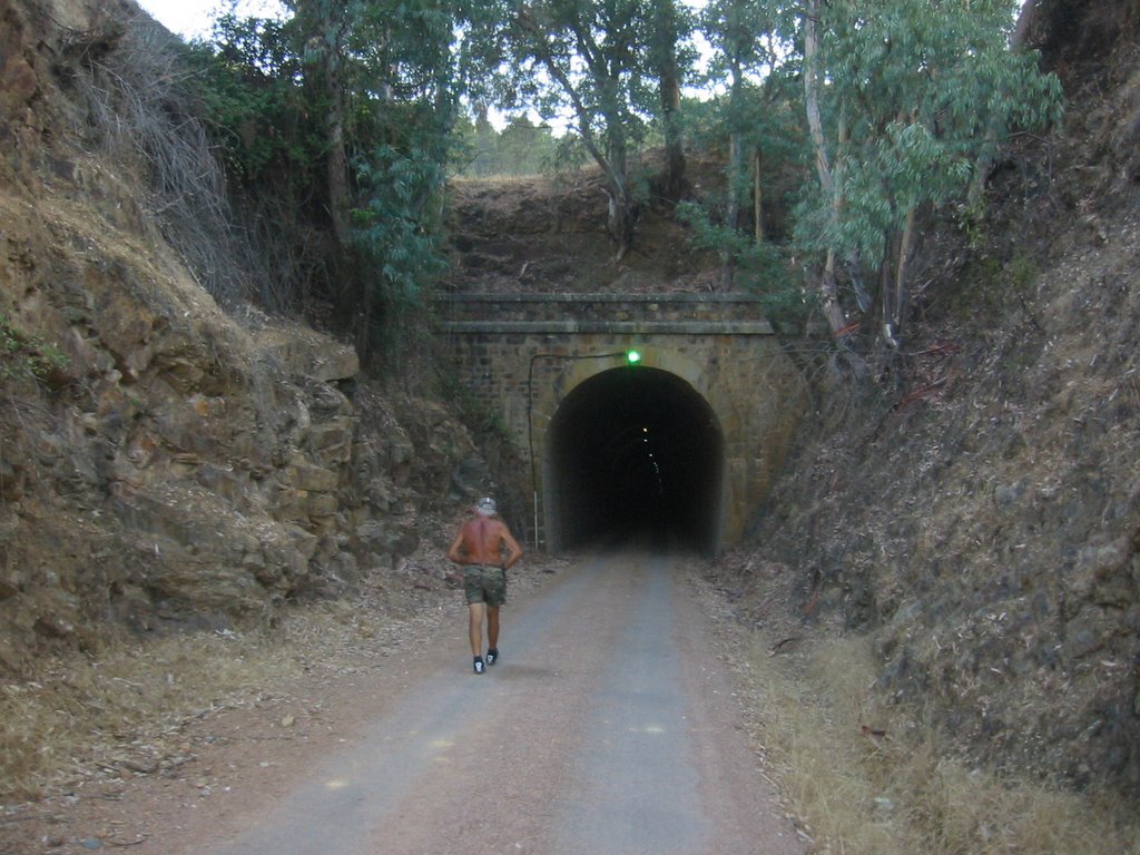 tunel de acceso a Minas de Horcajo by Manu Romero