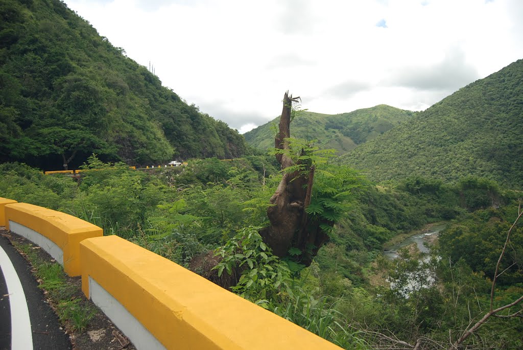 Carretera 14 de Cayey a Aibonito by alvingone