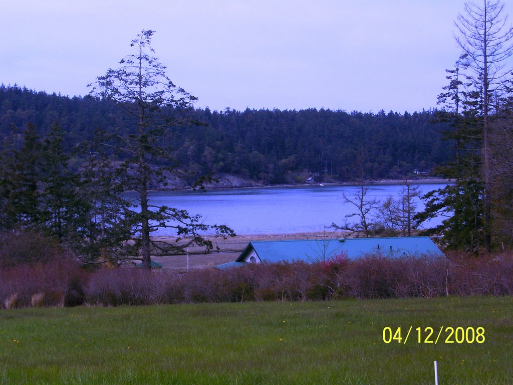 Mud Bay by Wester