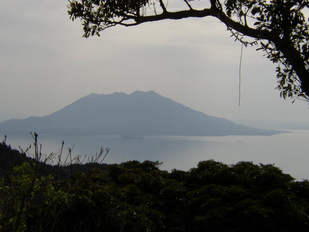 牧の原峠から見た桜島 by 長野