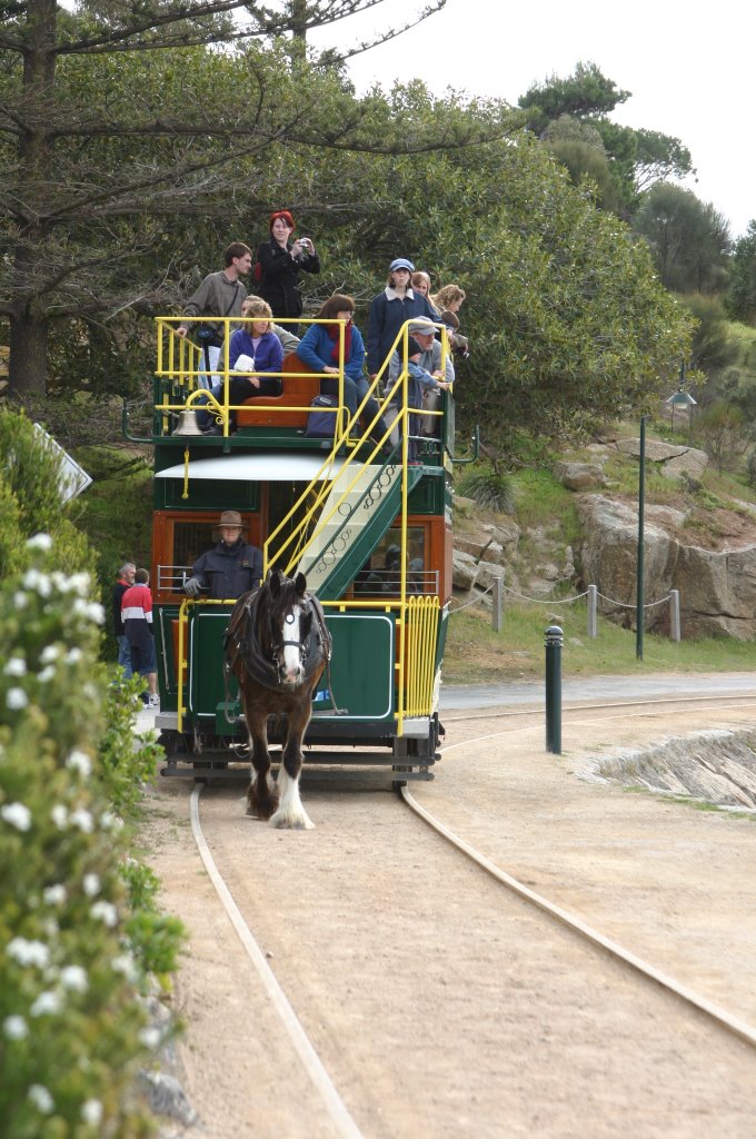 Granite Island Horse Tram by yeahbutnah