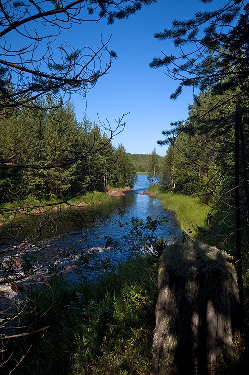 Karelia. Sonreka flows into Lake Morozovo. by Lev Trusov