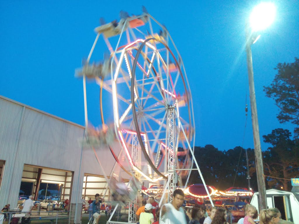 Ferris Wheel at the fair by DieselDucy