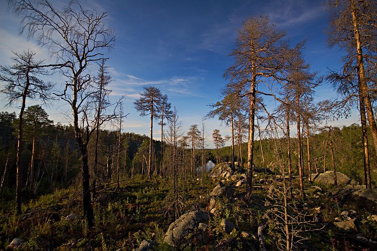 Karelia. Lake Morozovo. Hill. by Lev Trusov