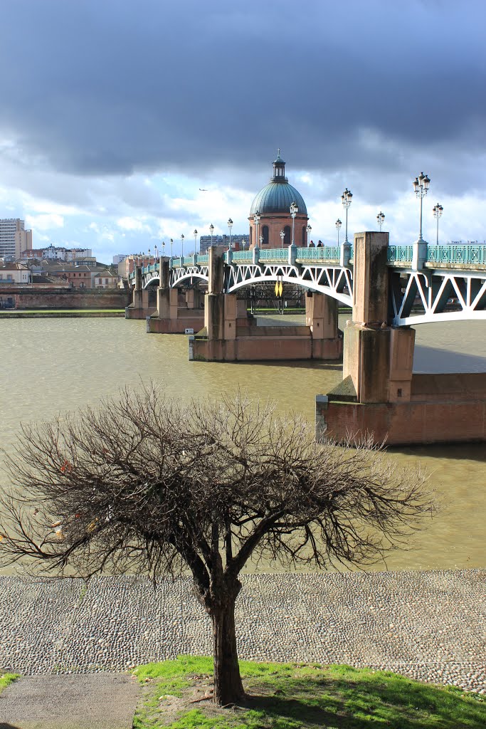 Toulouse - La Garonne by vinc107