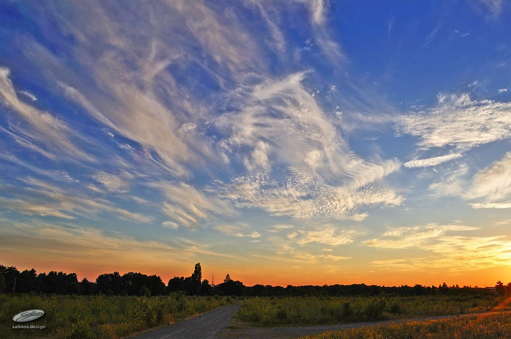 Wild sky - (C) by Salinos_de HB by SalinosⒸ