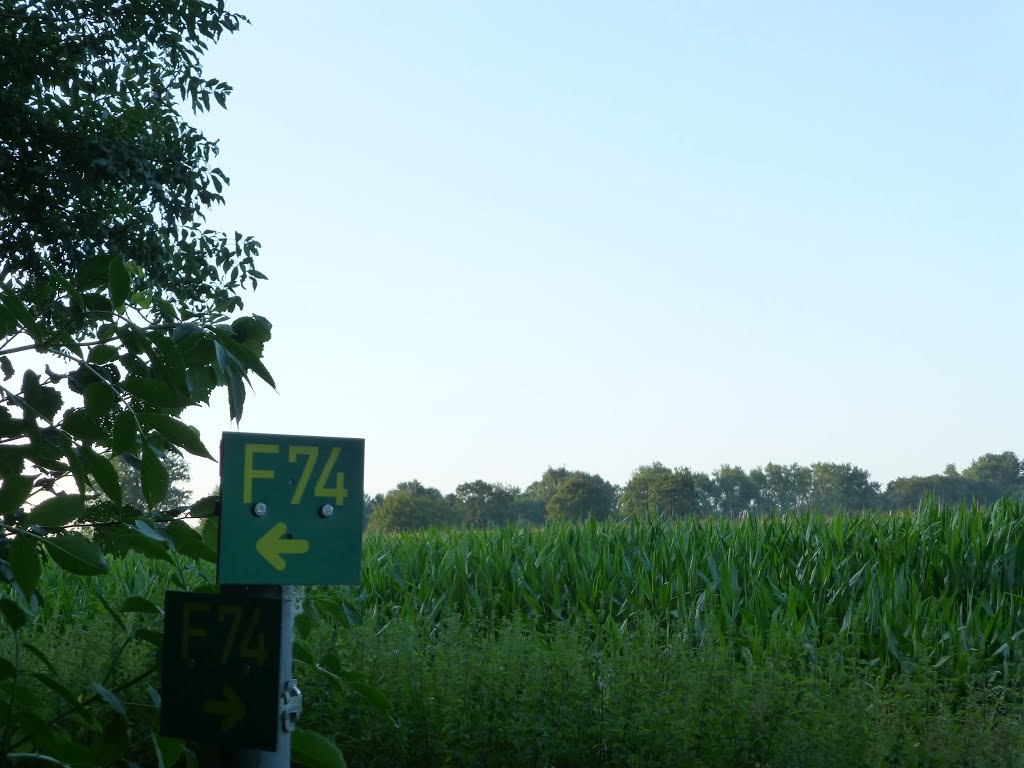 Radweg F74 bei Nienberge by Doc Dillen