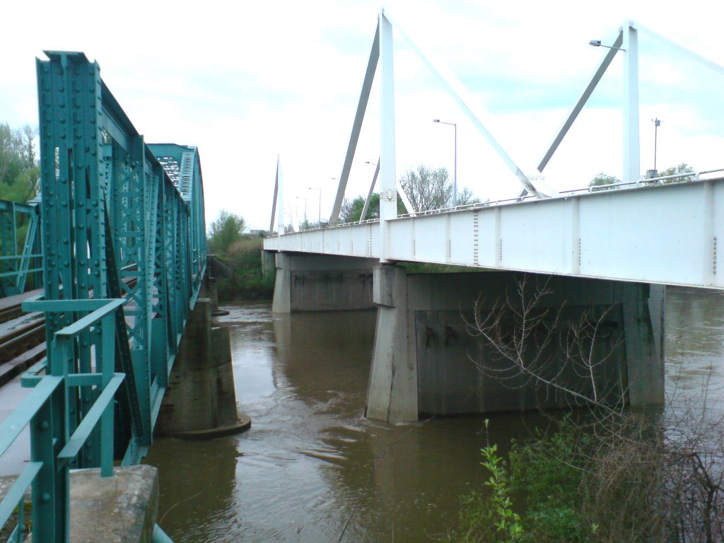 Bridges of Maros by Istvan, Jr. Muhelyi