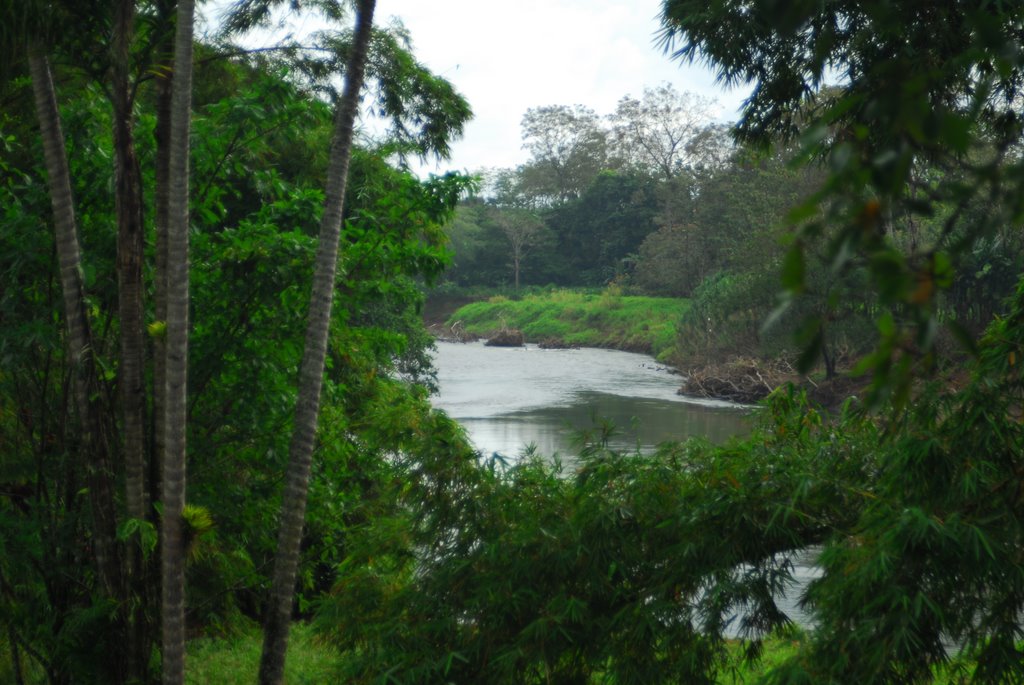 Rio San Carlos at Tilajari Resort by Alan C. Pickard