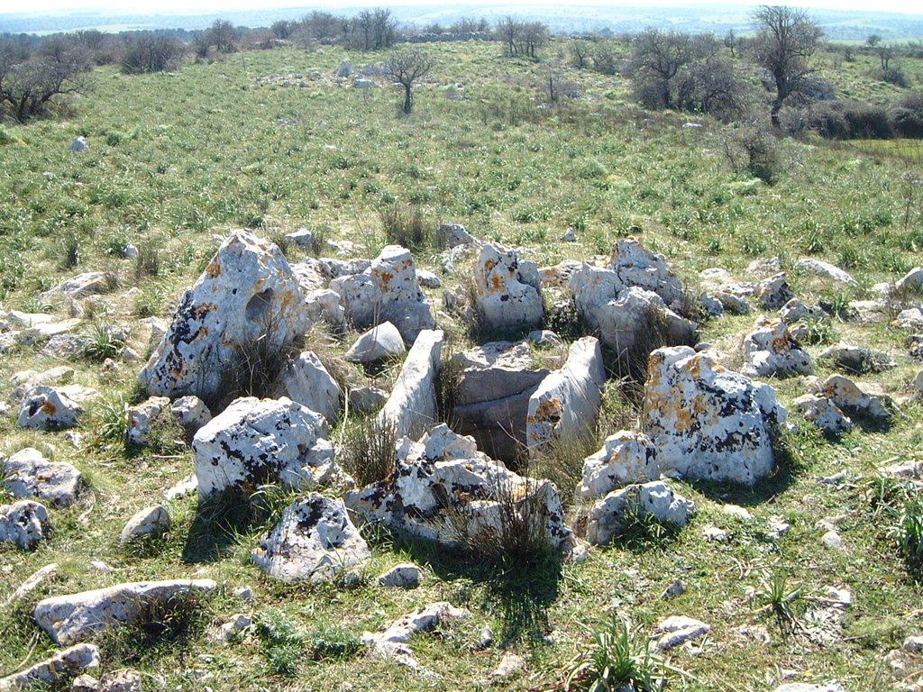 Particolare di tomba a tumulo a San Magno by gianni pofi