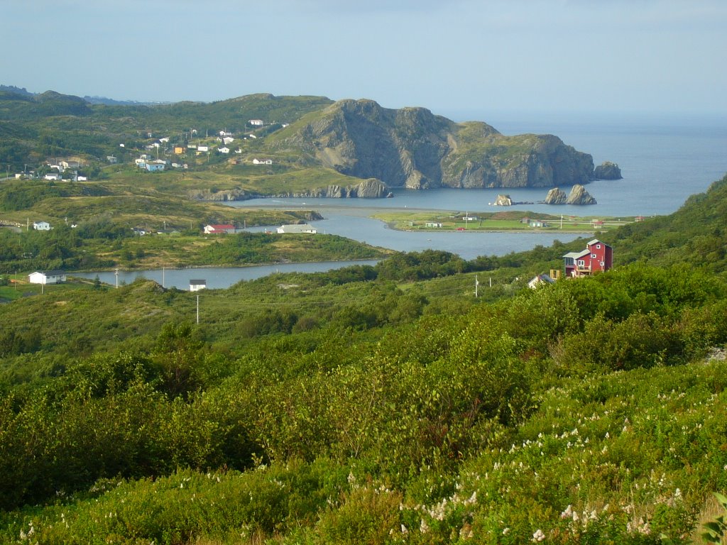 Salmon Cove, NL, Canada by Michael L Badcock