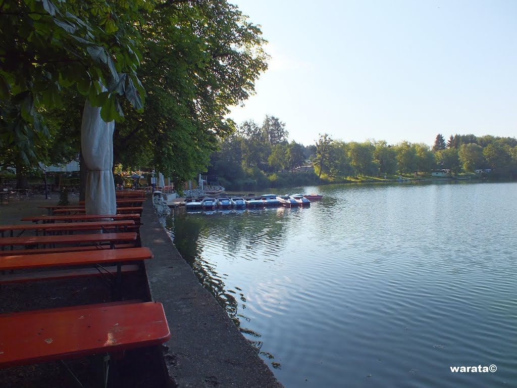 Buxheim > Waldweiher im Buxheimer Wald mit 3 Km Walderlebnispfad (i) by warata