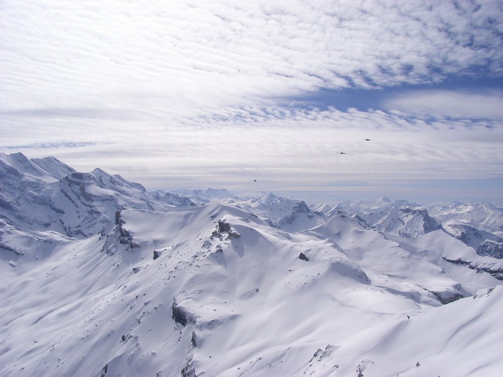 Blick vom Schilthorn nach Westen by elch1703