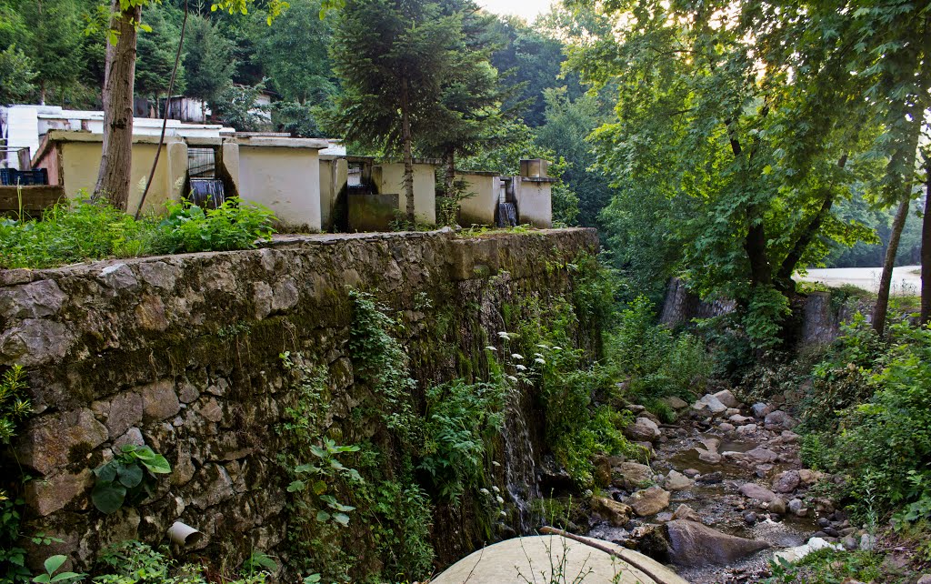 Akyazı altındere dinç alabalık tesislerinden kareler (Sakarya) by ismail38_1903