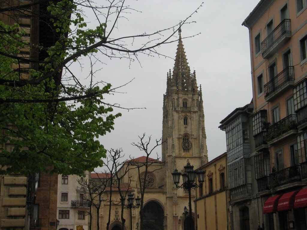 Oviedo. Catedral by Gines Collado