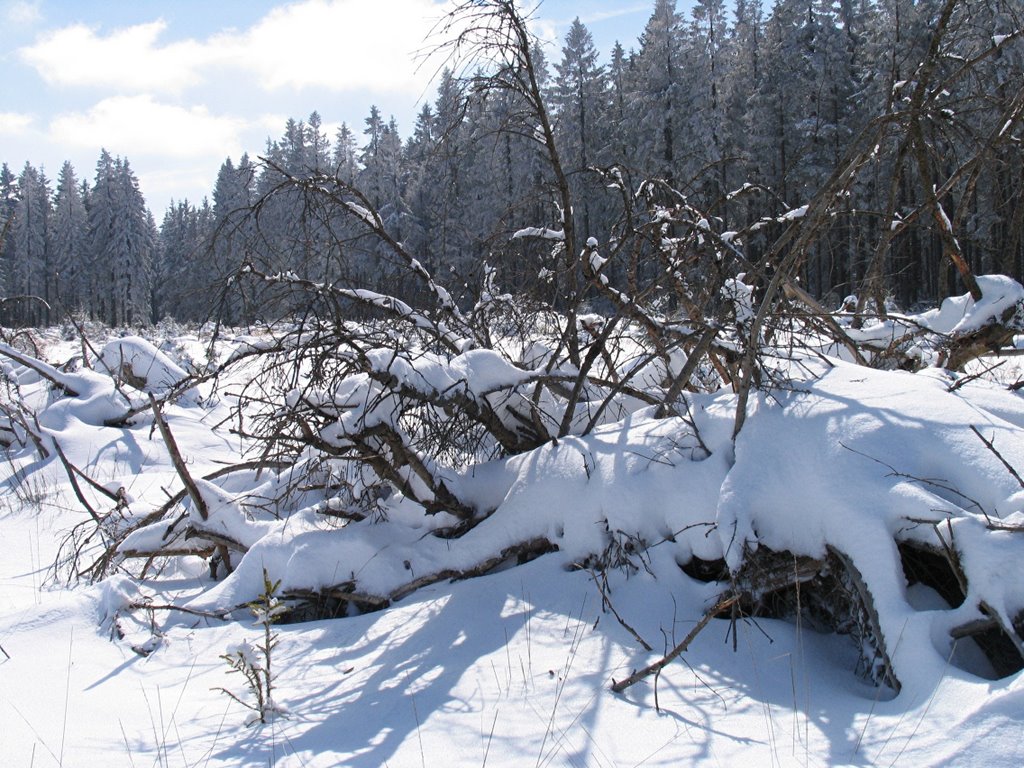 Haute Fagnes by Jan Pereboom