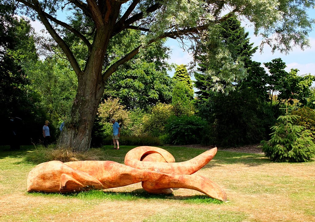 London Plane wood sculpture by Halima Cassell (Basking) at Harold Martin's Botanic Garden. by Bobsky.